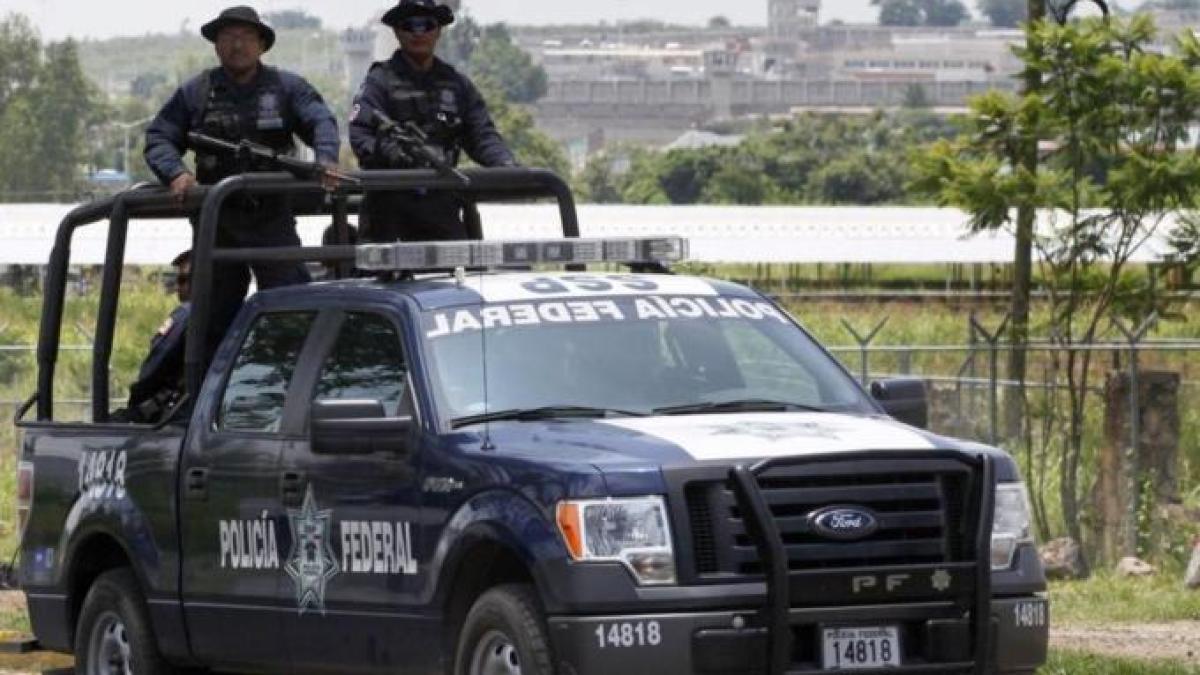 Five beheaded bodies found next to road in Mexico’s Jalisco | Crime News