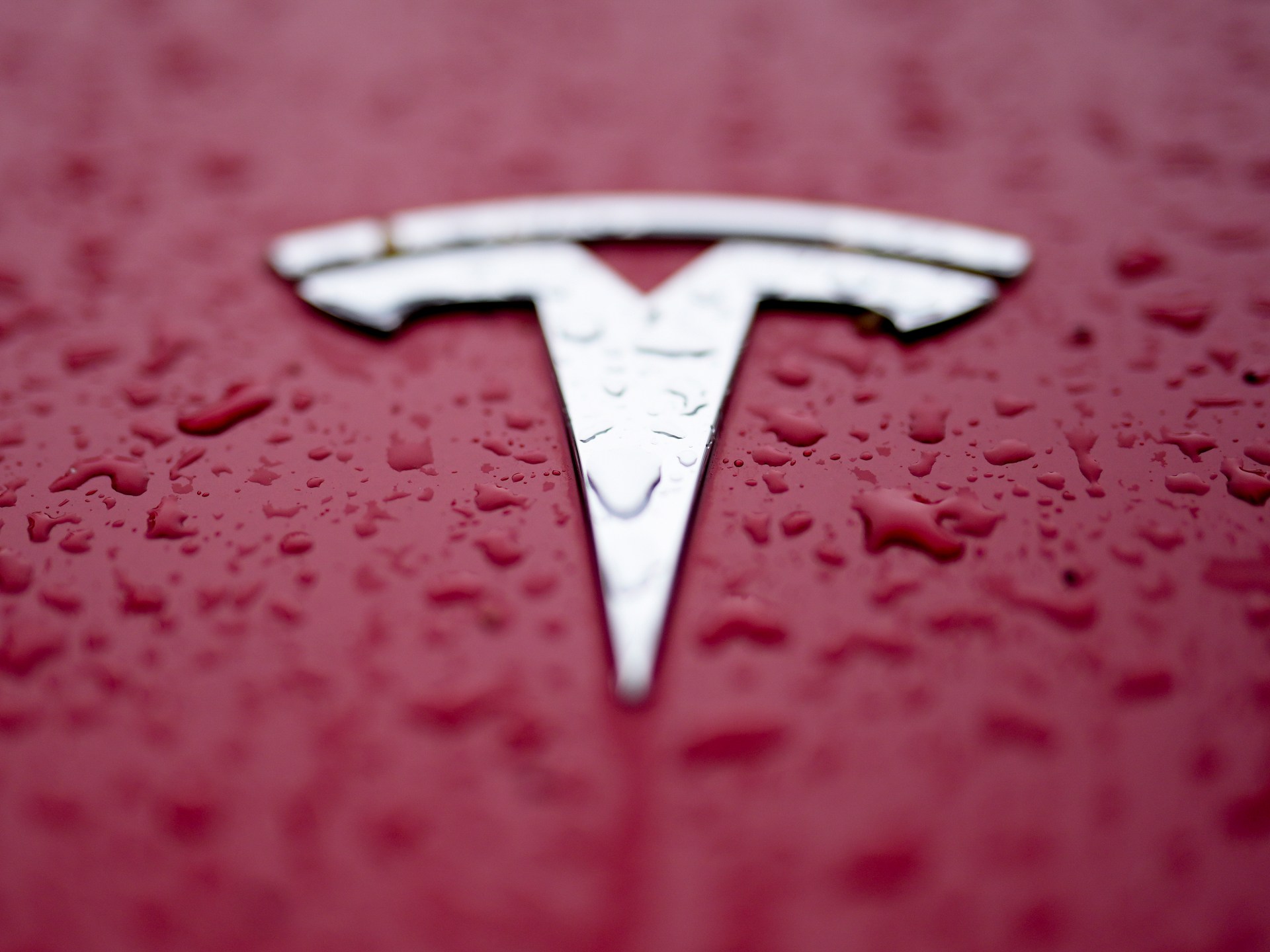 Tesla reports better than expected profit, sending shares higher | Business and Economy