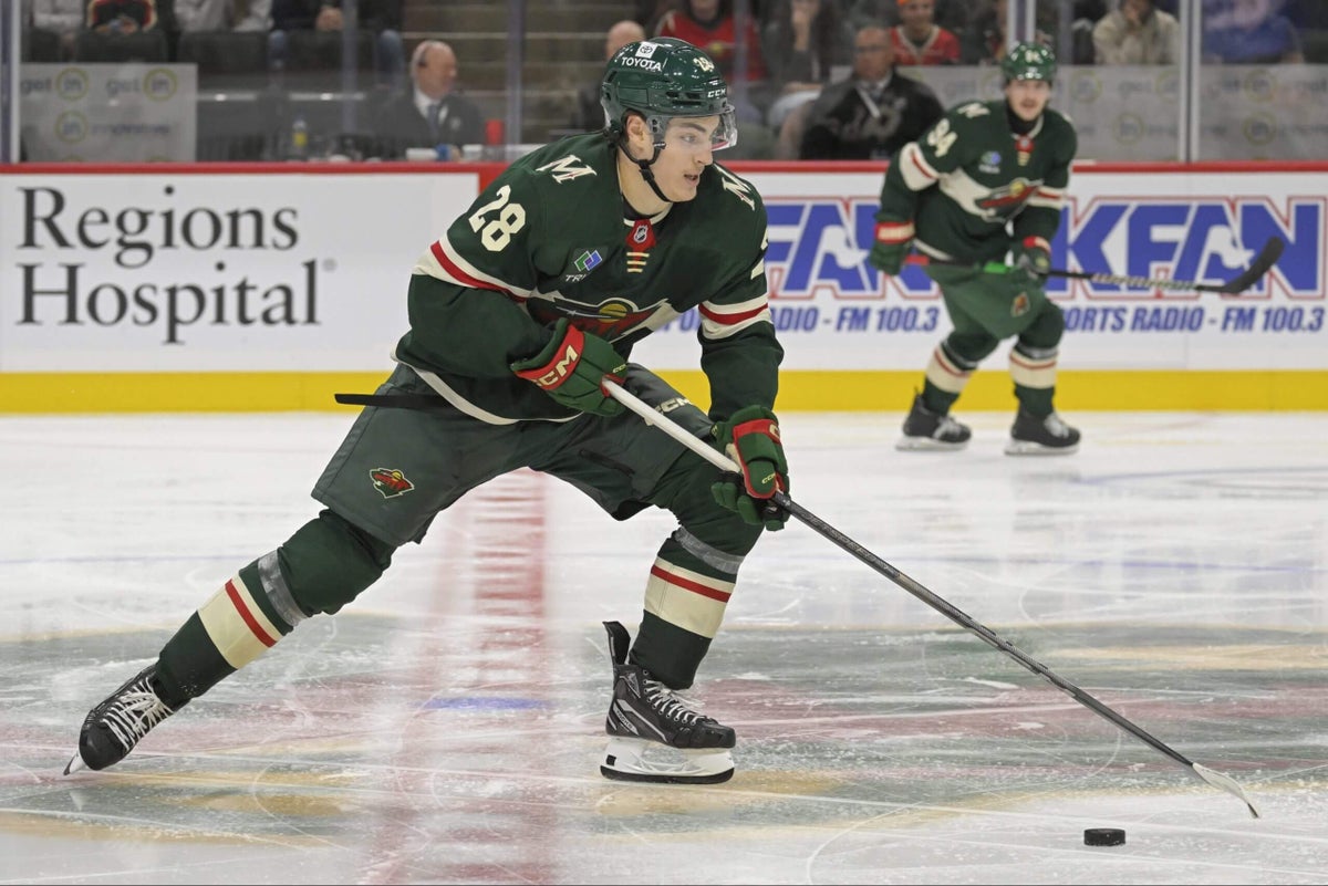 Wild’s Liam Ohgren and Jesper Wallstedt to be on opening-night roster: Source