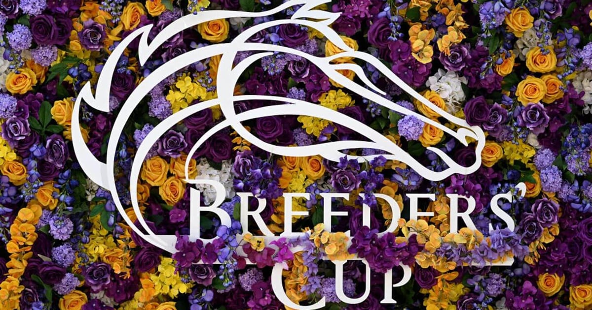 Breeders’ Cup 2024 live updates: How to watch today’s races, results, favorites, our picks, predictions and more