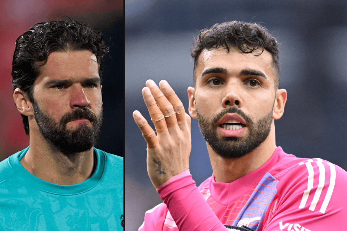 Fantasy Premier League: Alisson, David Raya and the budget goalkeepers to consider